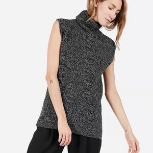 Everlane The Chunky Wool Sleeveless Turtleneck Sweater